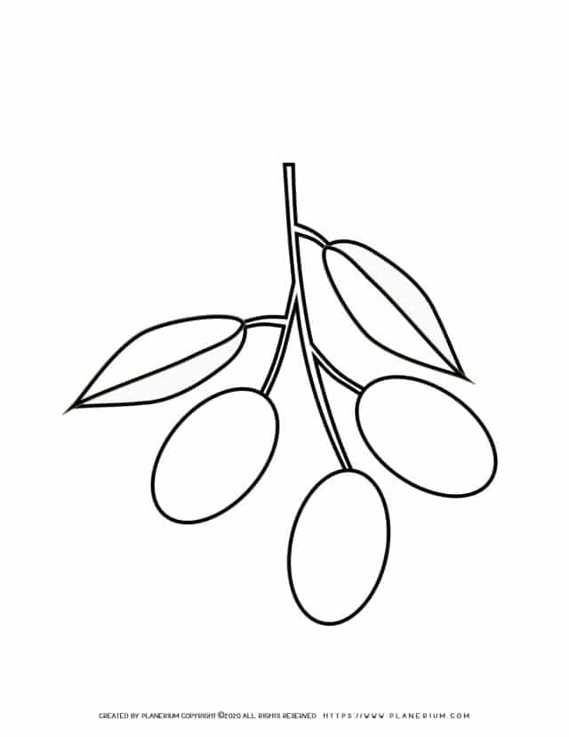 Olive Coloring Pages Sexiezpicz Web Porn