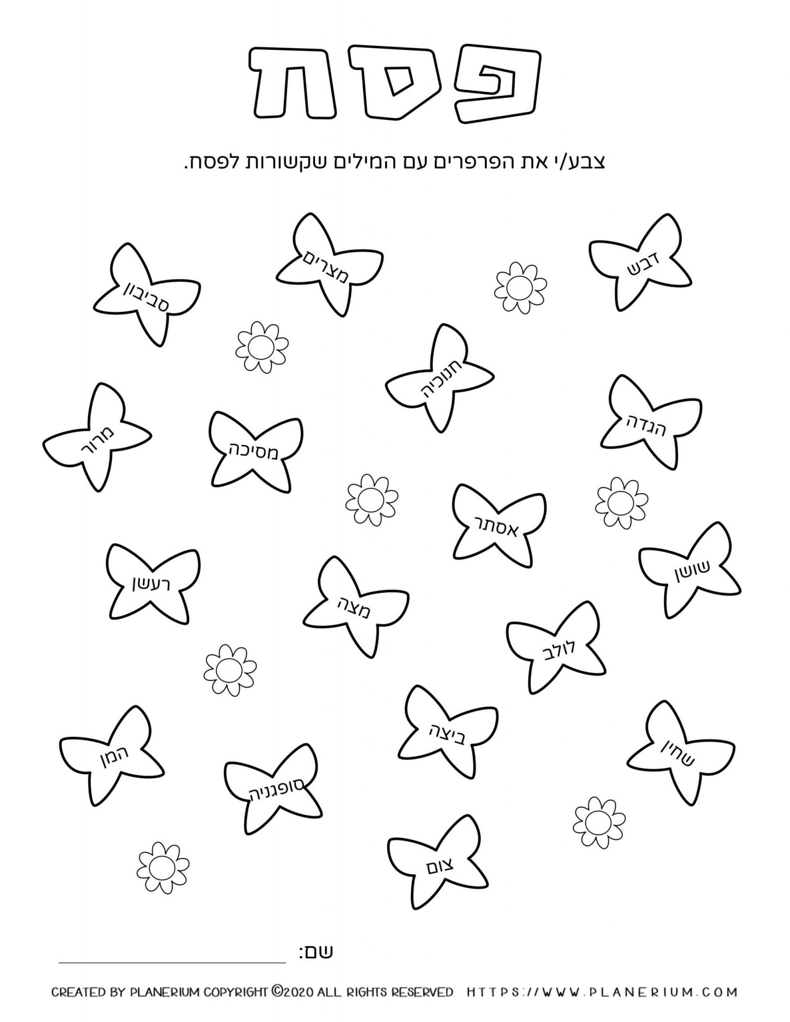 Passover - Worksheet - Butterflies Related Words in Hebrew | Planerium