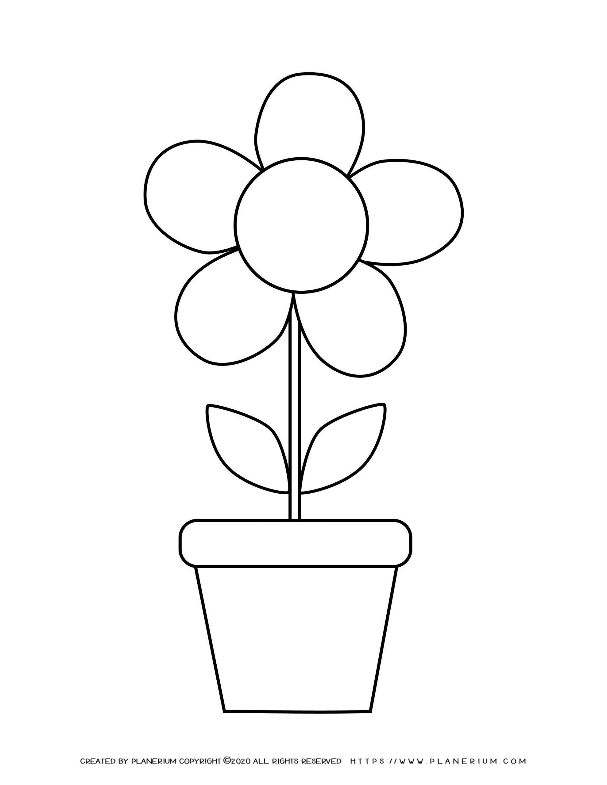 Pot With N Lid Page Coloring Pages