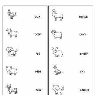 Farm Animals Matching Word To Picture | Planerium