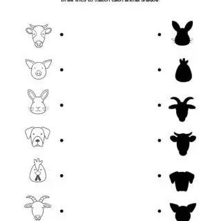 Farm Animals - Shadow matching | Planerium