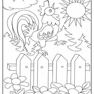 Rooster On A Fence | Planerium