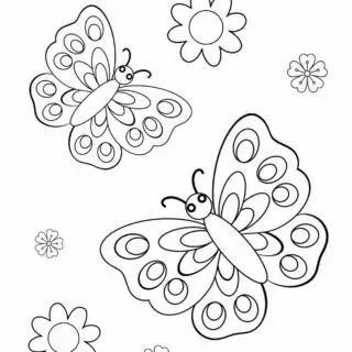 Two Butterflies And Flowers | Planerium