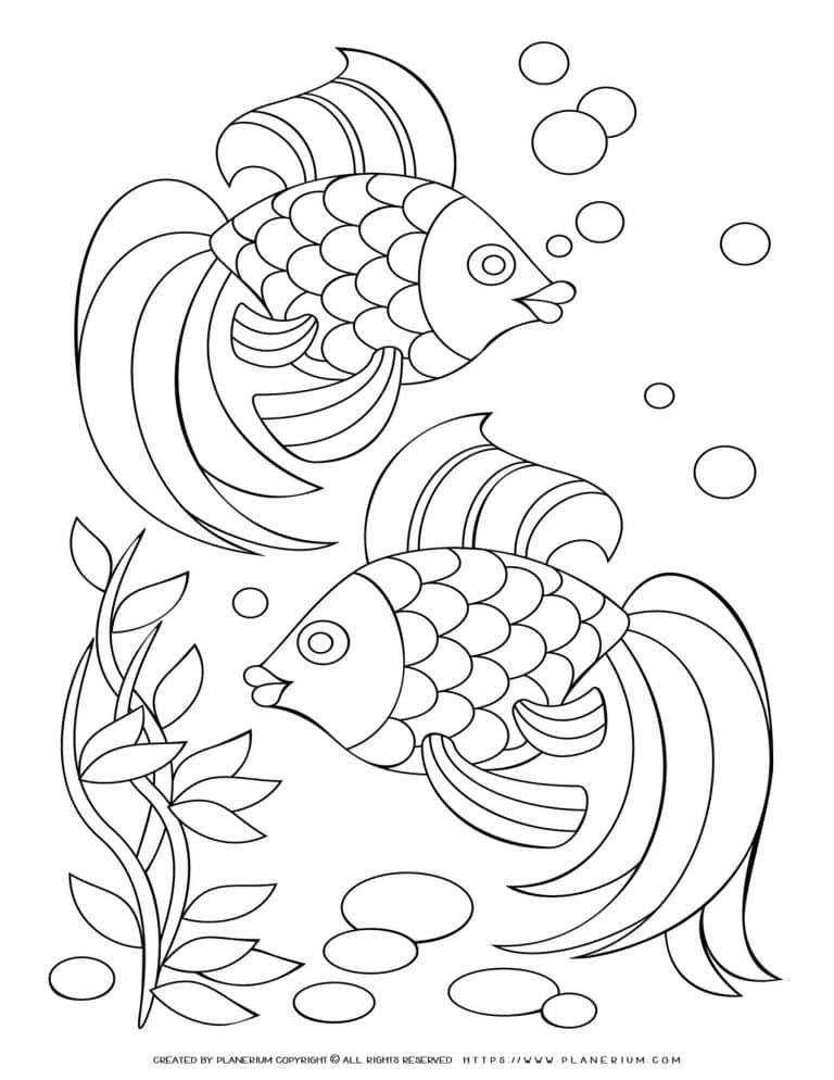 Underwater Adventure: Intricate Two Fish Coloring Page for Kids