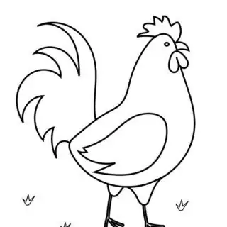 Animals Coloring Page - Chicken | Planerium