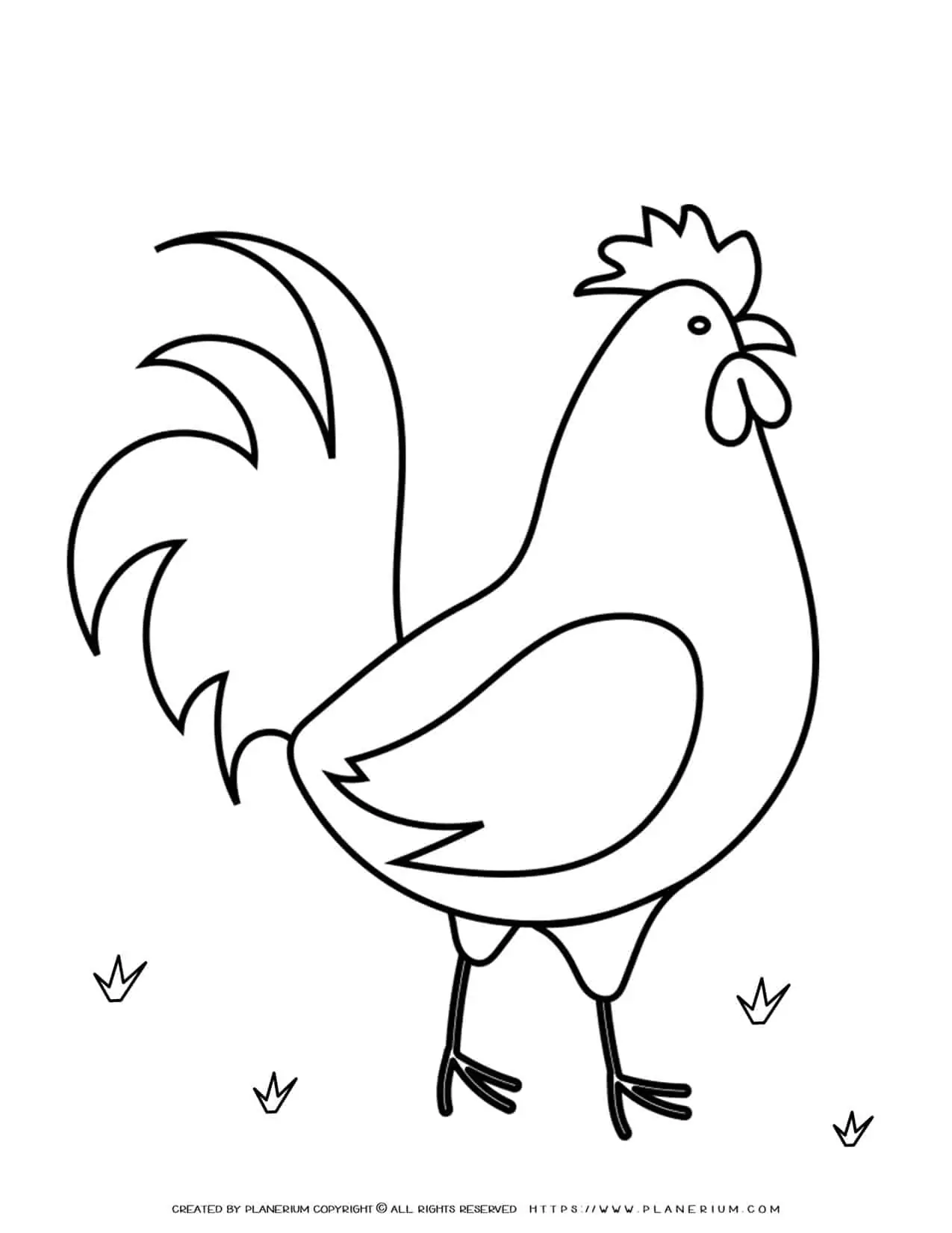 Animals Coloring Page - Chicken | Planerium