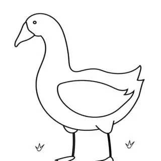 Animals Coloring Page - Goose | Planerium