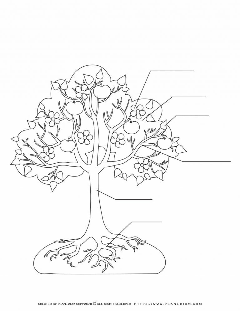 Apple Tree - Custom Worksheet | Planerium