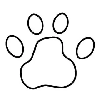 Bear Footprint Outline | Planerium