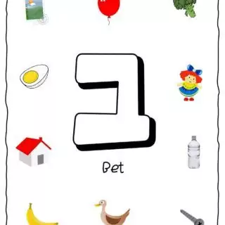 Hebrew Alphabet - Objects That Starts With Letter Bet | Planerium