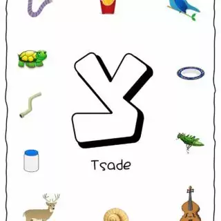 Hebrew Alphabet - Objects That Starts With Letter Tsade | Planerium