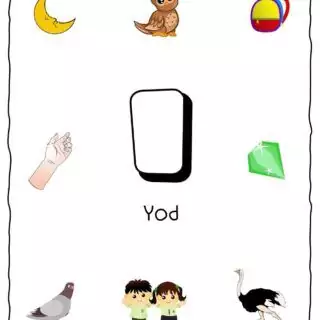 Hebrew Alphabet - Objects That Starts With Letter Yod | Planerium