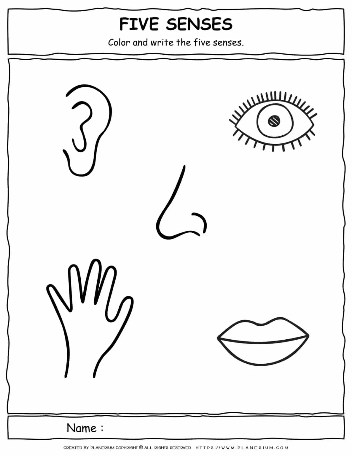 Science Worksheet - Five Senses - Color and Write | Planerium