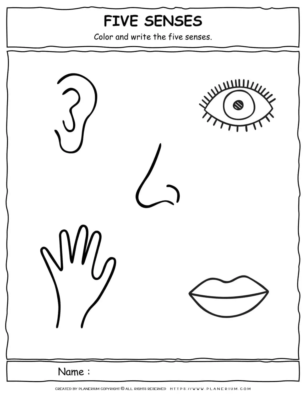 Science Worksheet - Five Senses - Color and Write | Planerium