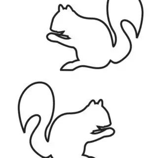 Squirrel Outline - Two Squirrels | Planerium