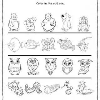 Animals Worksheet - Odd one Out | Planerium