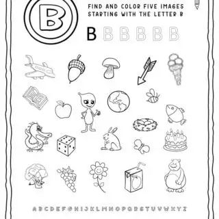 English Alphabet Worksheet - B Letter | Planerium