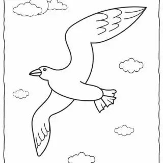 Bird Coloring Page | Planerium