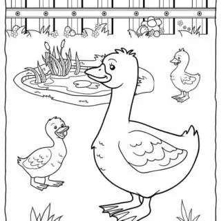 Ducks Coloring Page | Planerium