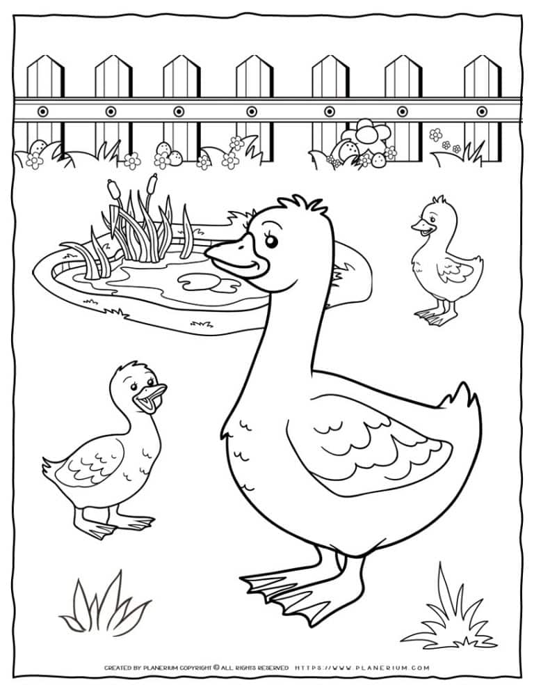 Free Animal Farm Coloring Pages for Preschool & Kindergarten