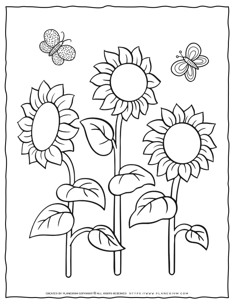 Printable Sunflower Coloring Pages – 25 Sheets - Easy Peasy and Fun