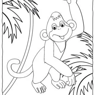 Monkey Coloring Page | Planerium