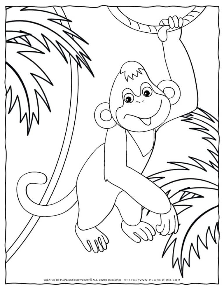 Animal Coloring Pages: Monkey Coloring Page for Kids