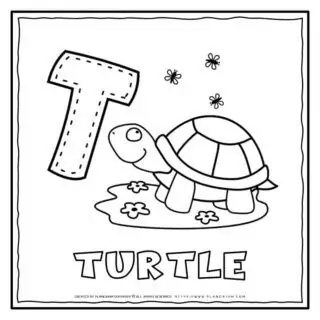 English Alphabet - Letter T | Planerium