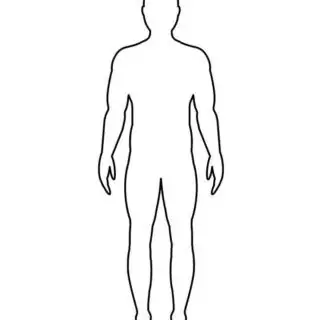 Male Body Outline | Planerium
