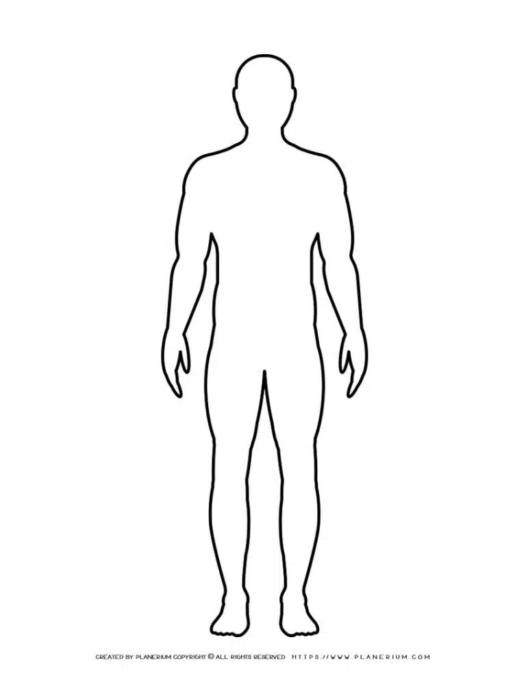 Male Body Outline