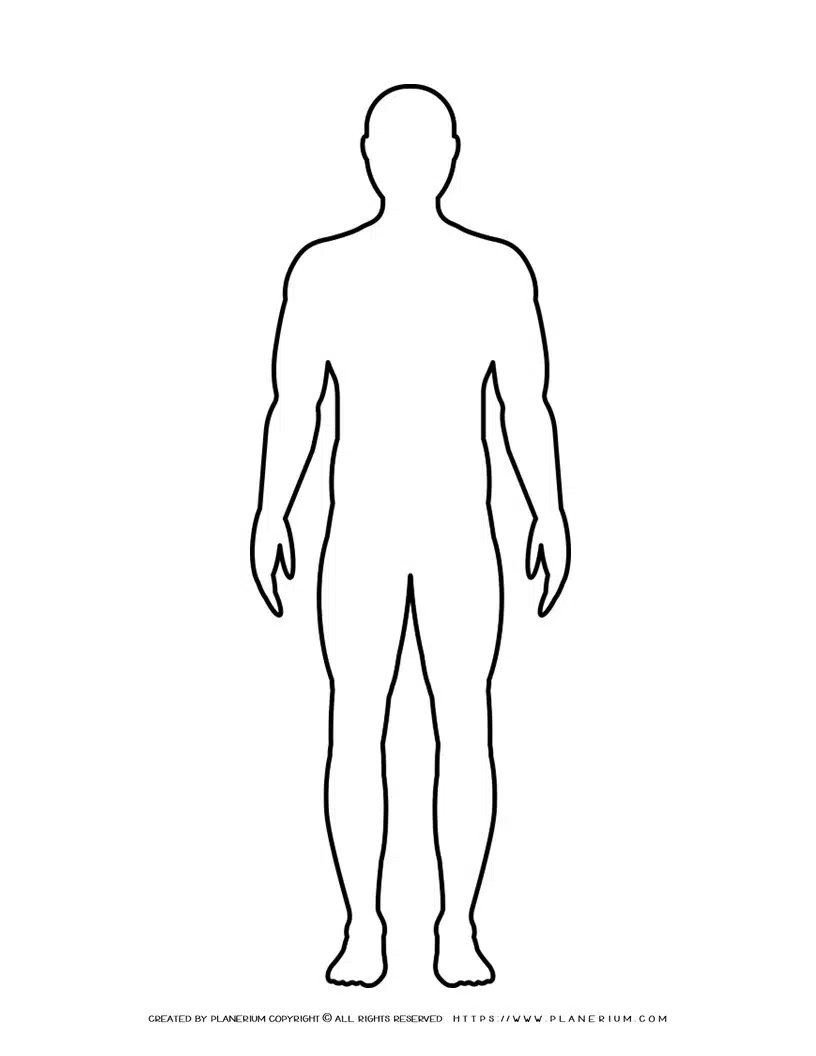 human body outline printable