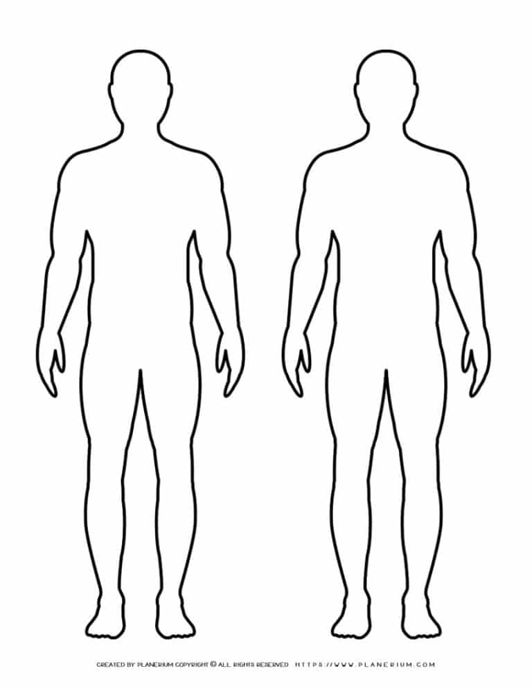 Male Body Outline - Two Males | Planerium