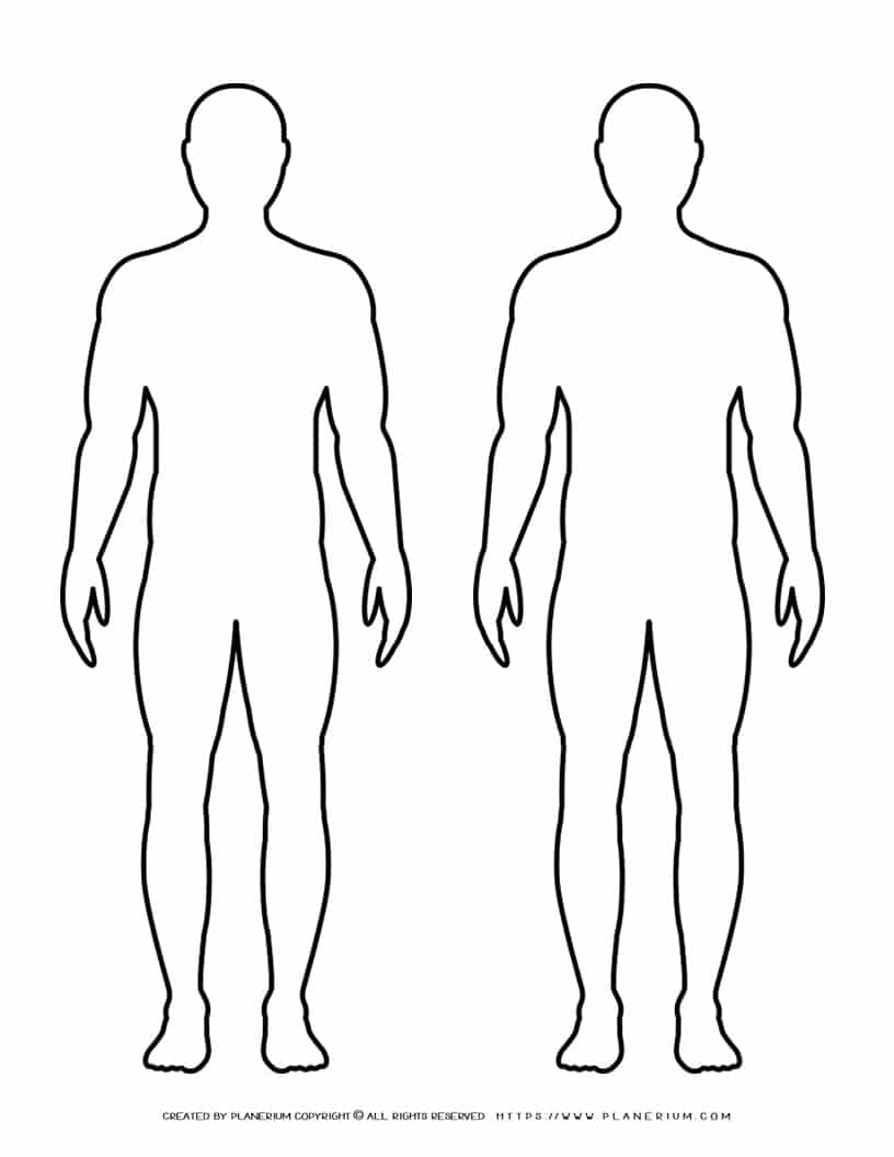 Male Body Outline Two Males Planerium