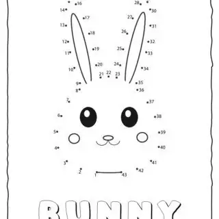 A dot-to-dot image of a bunny face