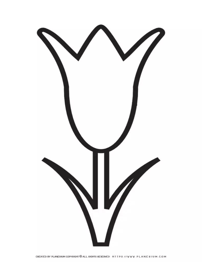 A printable tulip template