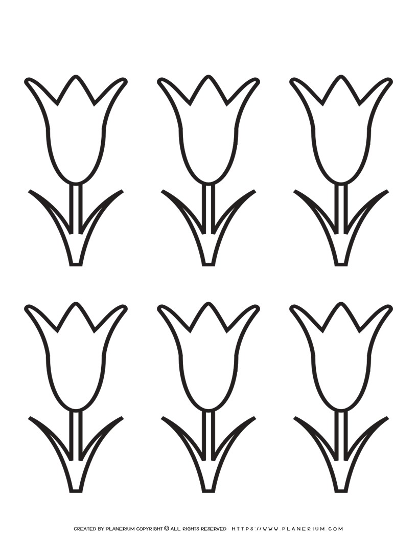 tulip template printable