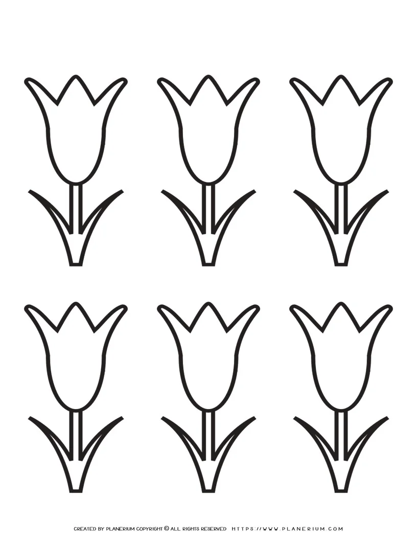 tulip template