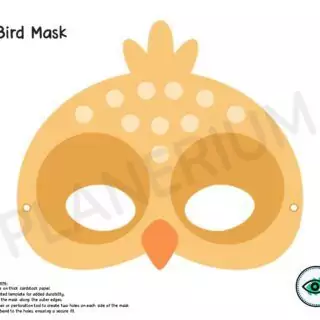 Colorful Animal Mask Templates For Kids - Image 5