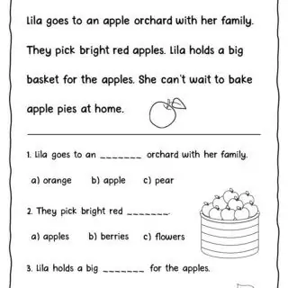 Seasons Reading Comprehension Passages For Kids - Image 4