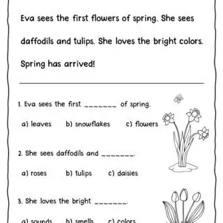 Seasons Reading Comprehension Passages For Kids - Image 9