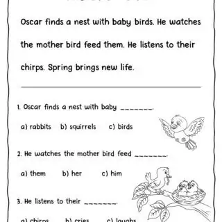 Seasons Reading Comprehension Passages For Kids - Image 10