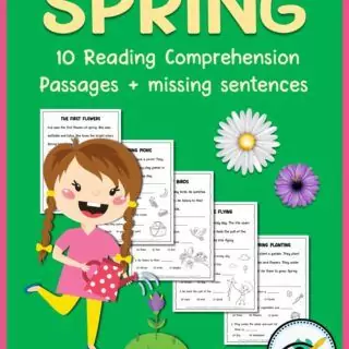 Seasons Reading Comprehension Passages For Kids - Image 8