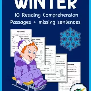 Seasons Reading Comprehension Passages For Kids - Image 5