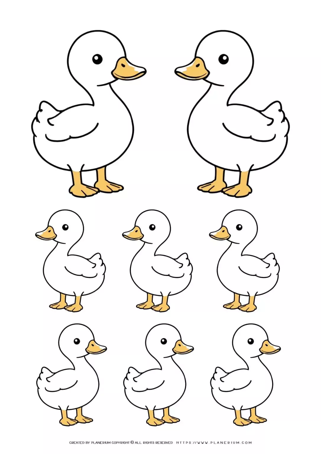 Illustration of multiple cartoon ducks.