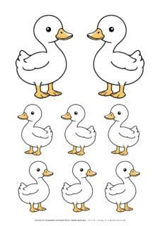 Illustration of multiple cartoon ducks.