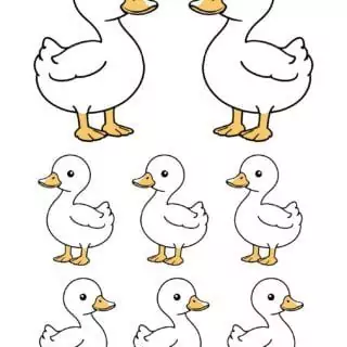 Illustration of multiple cartoon ducks.