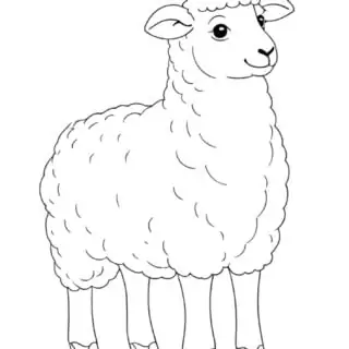 Coloring page of cartoon sheep standing.