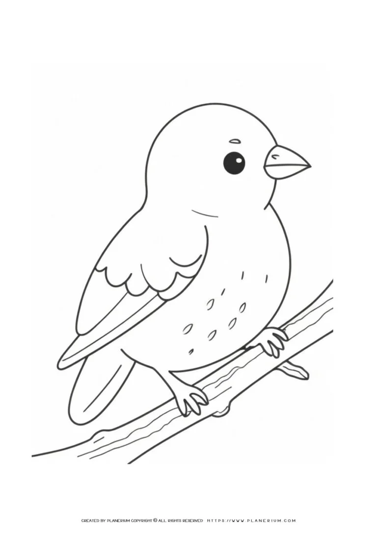 little Bird