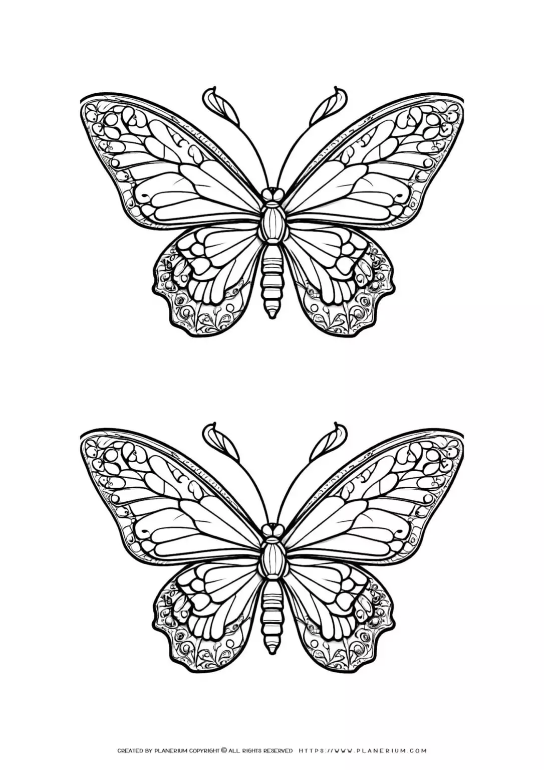 Intricate butterfly coloring pages