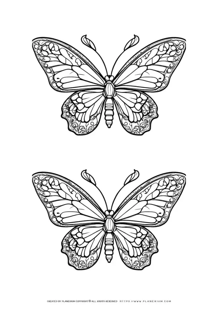 Intricate butterfly coloring pages